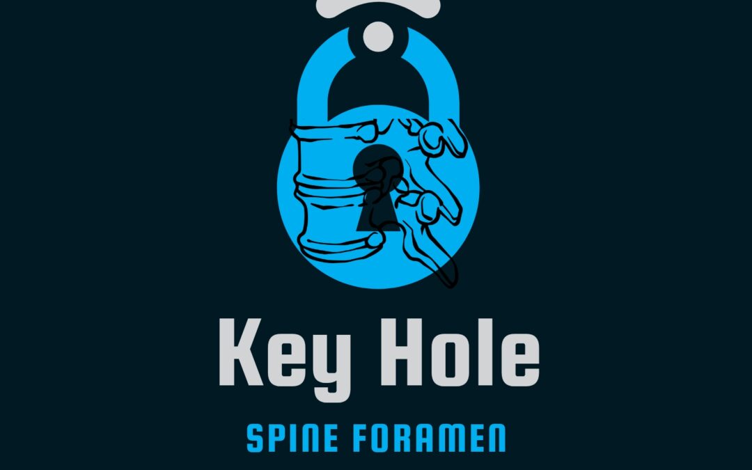 Spine & Key Hole