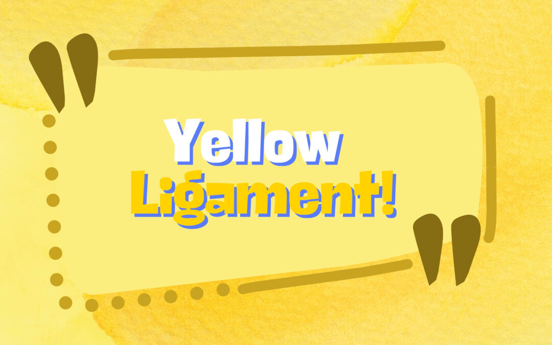 Spine & Yellow Ligament