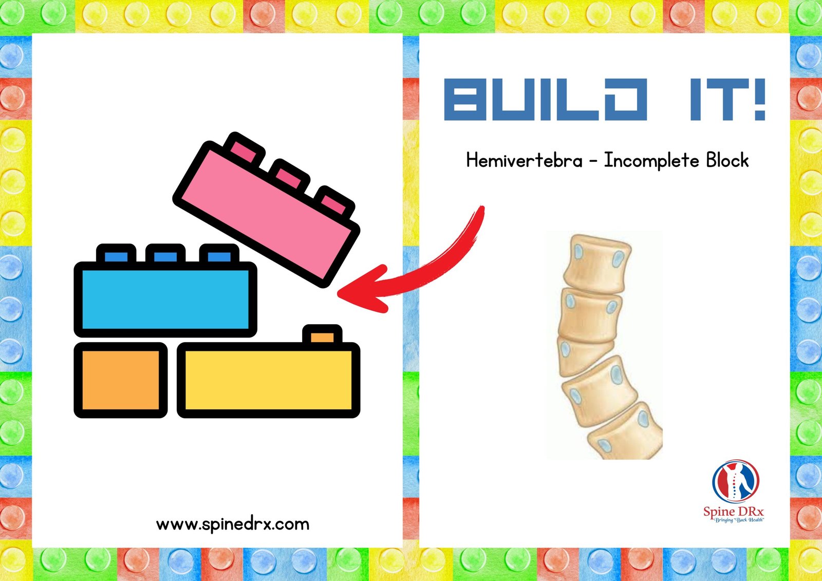 Spine & Building block - SpineDRX