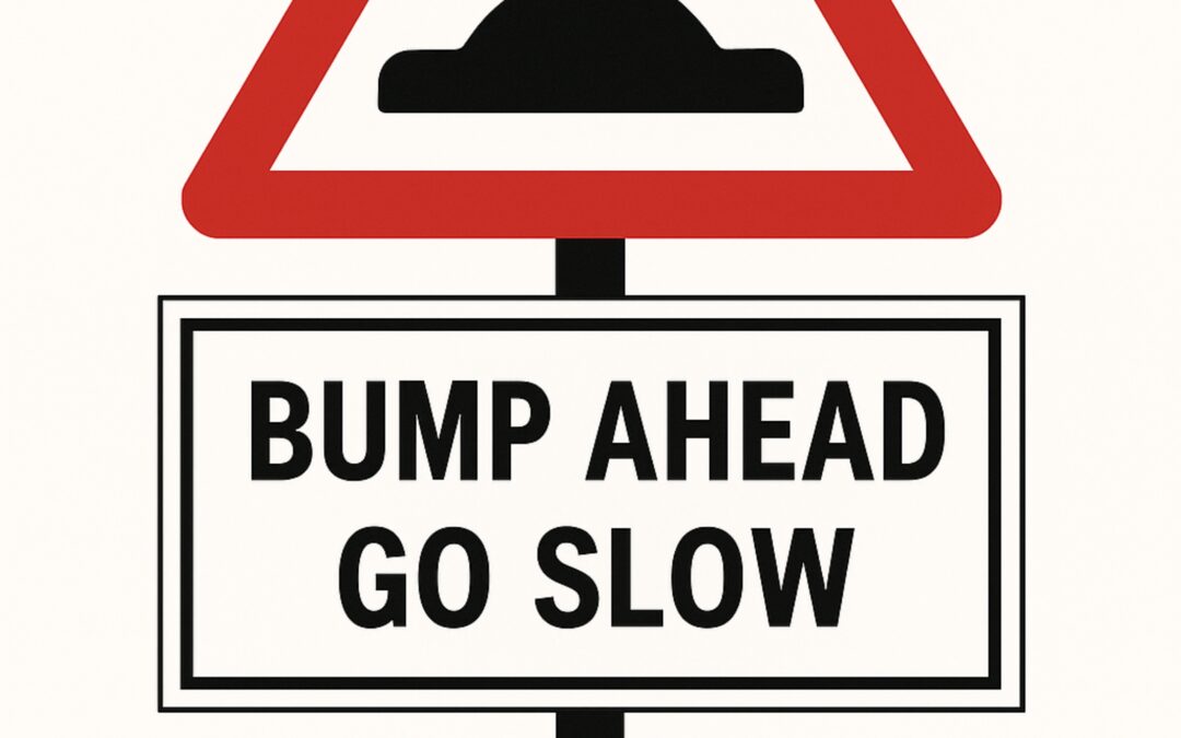 Spine & Speed breaker bump