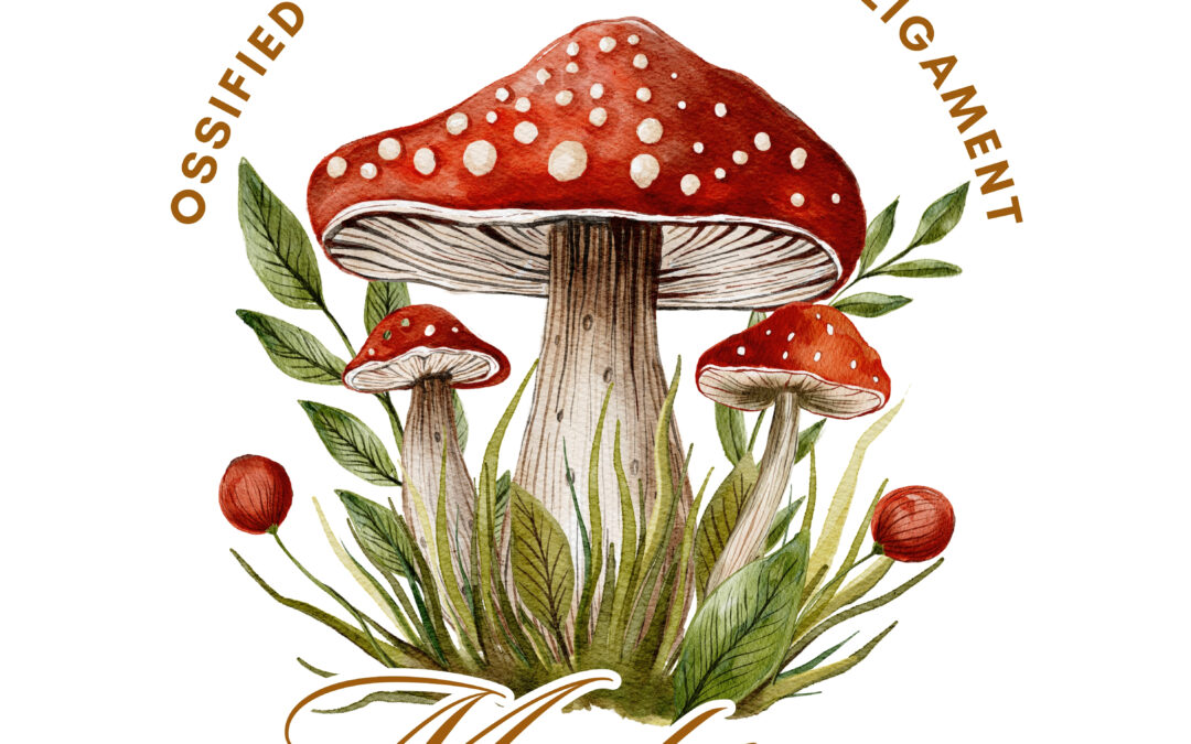 Spine & Mushroom