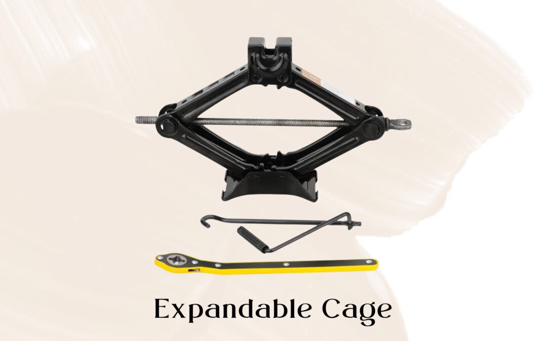 Spine & Expandable cage