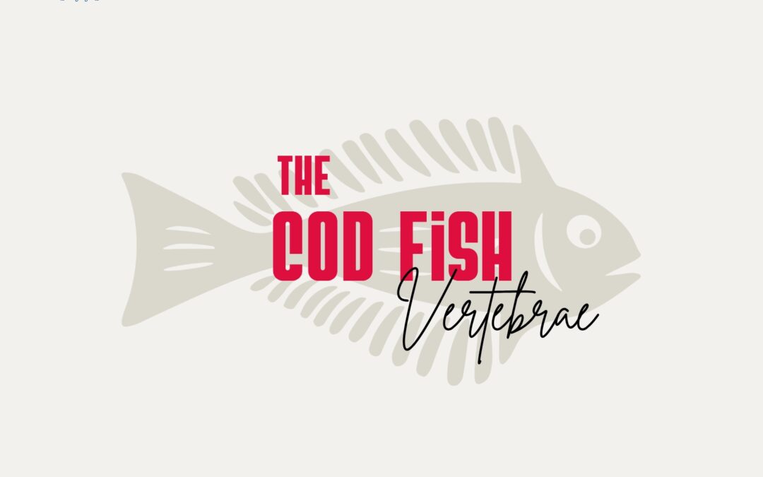 Spine & Cod fish vertebra