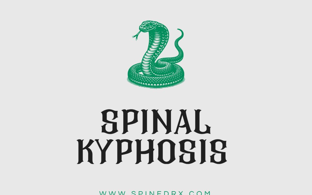 Spine & Kyphosis