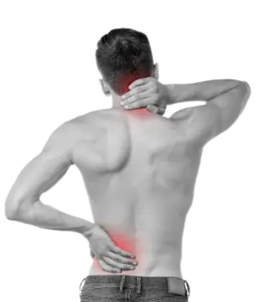 Neck (1)